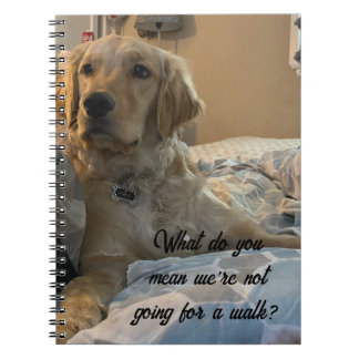 Remi the Golden Retriever Notebook