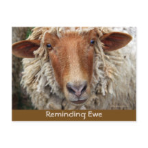 Reminding Ewe: Reminder Cards