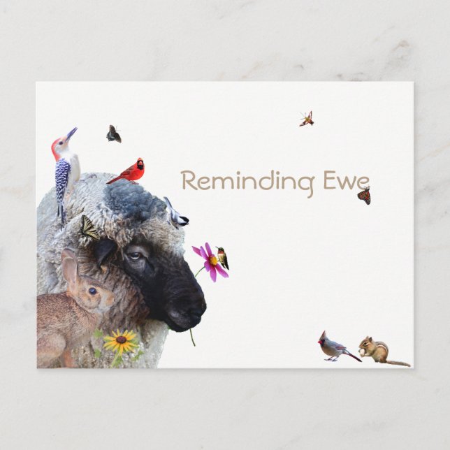 Reminding Ewe: Reminder Cards (Front)