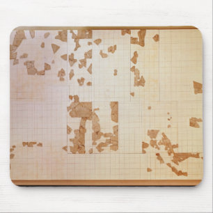 Remnant of a cadastre mouse pad