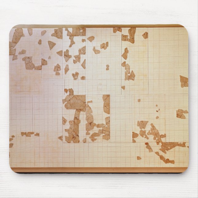 Remnant of a cadastre mouse pad (Front)