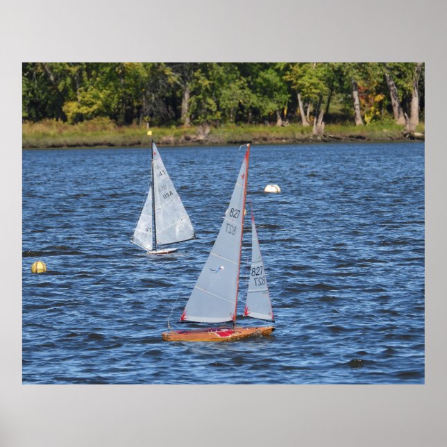 Remote Controlled Sailboats on the Water  Poster (Front)