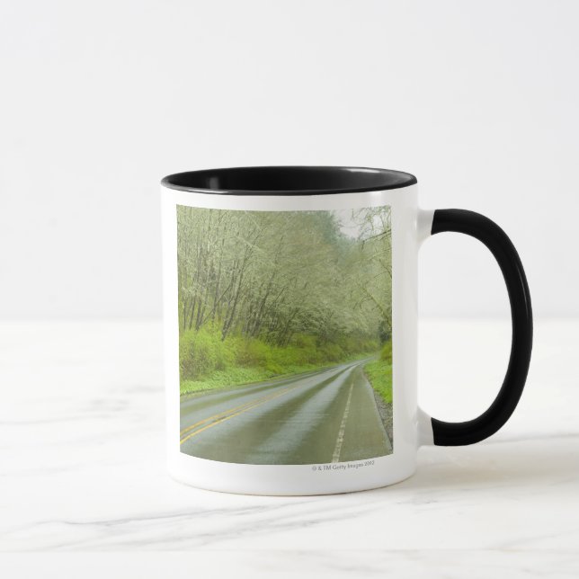 Remote highway through forest mug (Right)