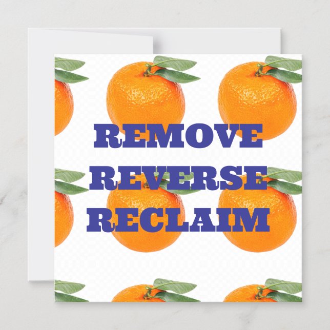 REMOVE REVERSE RECLAIM MAGNET (Front)