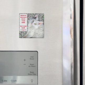 Remove the Kinks from your Mind, Not your Hair  Magnet