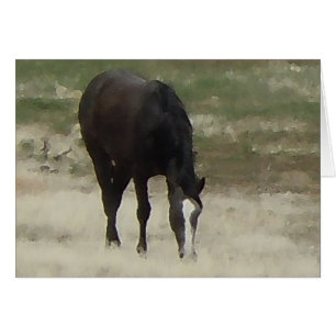 Remuda Herd Grazes - Ranch Cow Horses - Blank