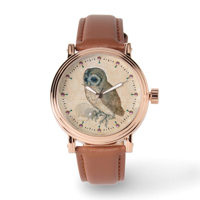 RENAISSANCE ANIMAL DRAWINGS / THE OWL WATCH (Front)