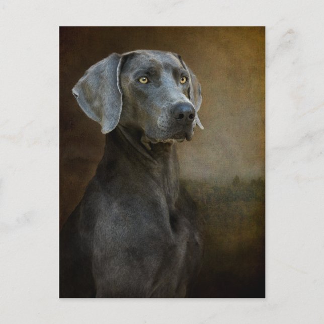 Renaissance Blue Postcard (Front)