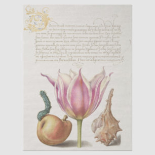 Renaissance Calligraphy Art Pink Tulip and Pear Tissue Paper