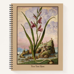Renaissance Gladioli Notebook