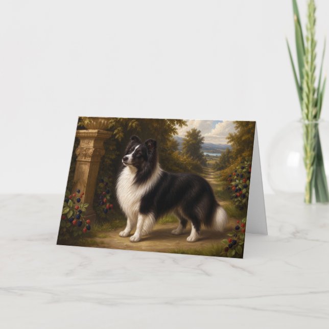 Renaissance Shetland Sheepdog Blank Card (Front)