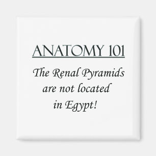 Renal Pyramids not located in Eqypt Magnet