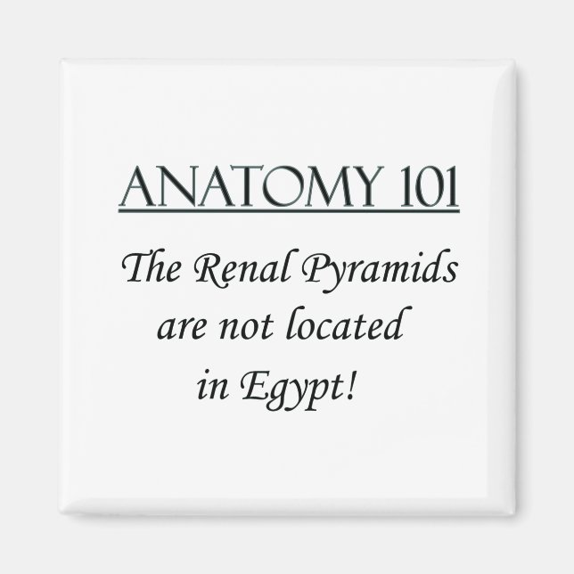 Renal Pyramids not located in Eqypt Magnet (Front)