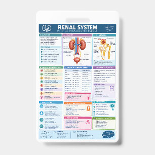 Renal System Analysis Nursing Reference, Kidney Ba ID Badge