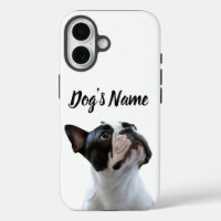 Rename your bulldog French dog on your