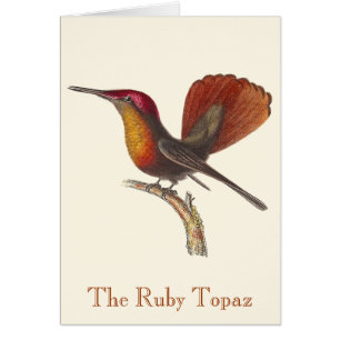 Rene Primevere Lesson - The Ruby Topaz Hummingbird