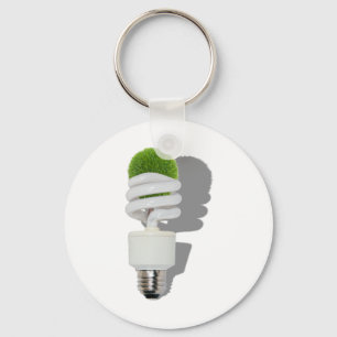 RenewableResources062210Shadows Key Ring