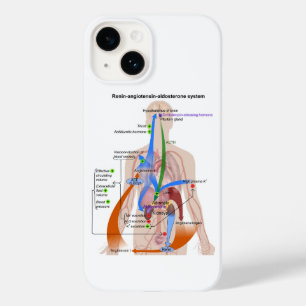 Renin-Angiotensin System Chart Human Body Diagram Case-Mate iPhone 14 Case