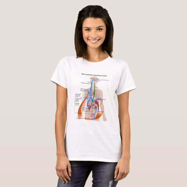 Renin-Angiotensin System Chart Human Body Diagram T-Shirt (Front Full)