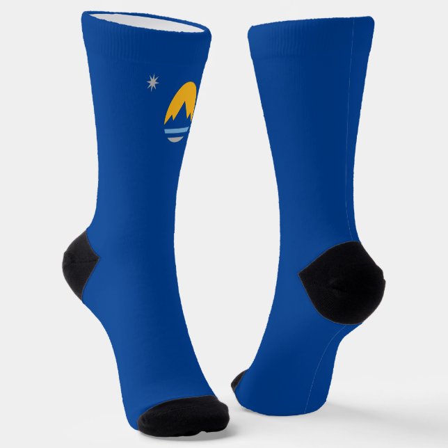 Reno (Nevada) city flag Socks (Angled)