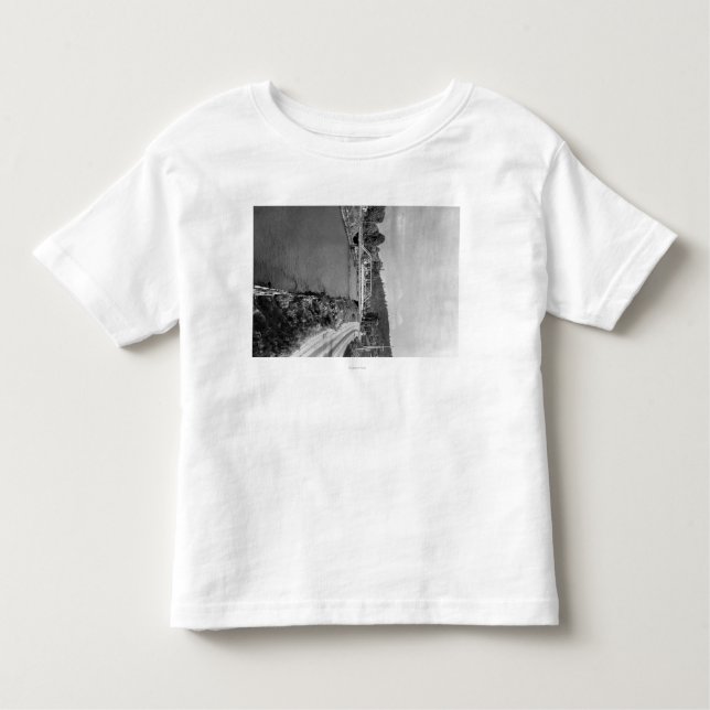 Renton, WA View of the Cedar River Photograph Toddler T-Shirt (Front)