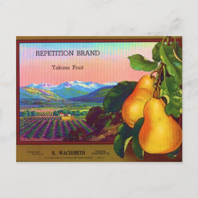 Repeition Postcard (Front)