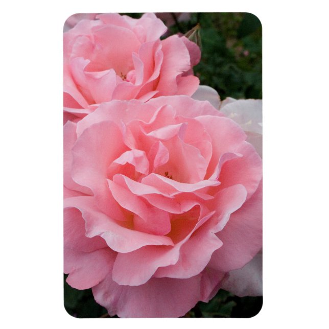 Replace Roses Photo Vertical Make Personalised Magnet (Vertical)