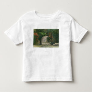Replica of Gen Burgoyne's Last Bridge Toddler T-Shirt