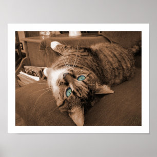 Repose in Twill Poster