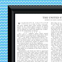 Reprint of John Carter, US Constitution