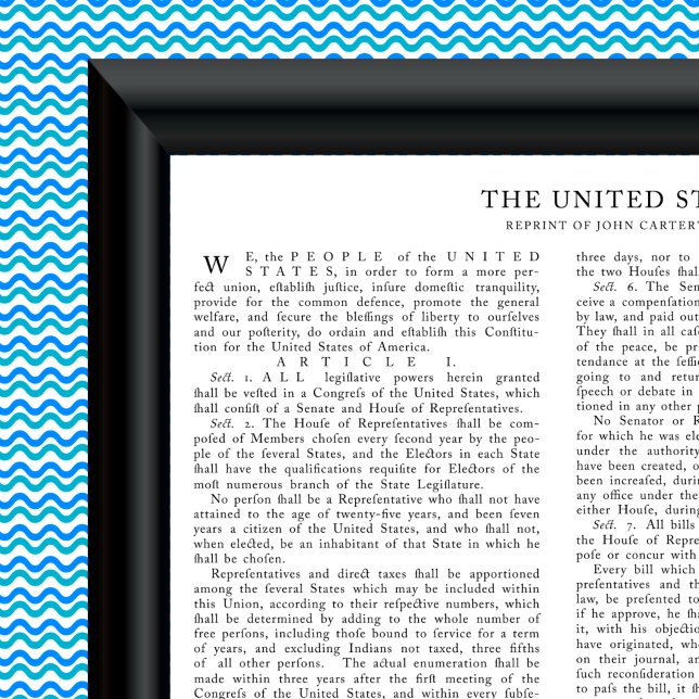 Reprint of John Carter, US Constitution Poster (Creator Uploaded)