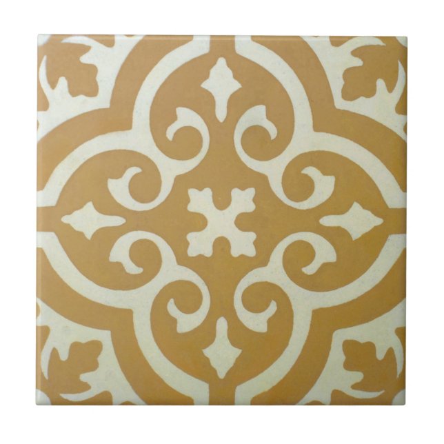 Reproduction Encaustic Cement Tile on Ceramic (Front)
