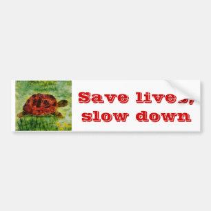 Reptile Animal Art Tortoise Bumper Sticker