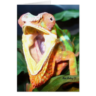reptile card