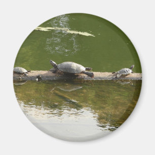 reptile merchandise magnet