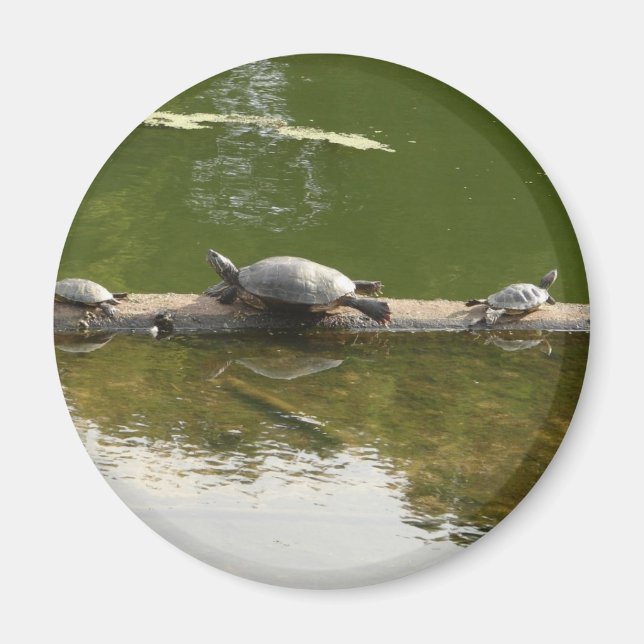reptile merchandise magnet (Front)