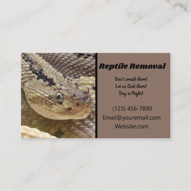 Reptile Removal Business Card (Front)