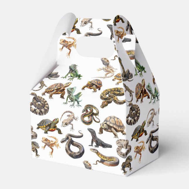 Reptile Snake Lizard turtle  Animal Pattern Favour Box (Front Side)