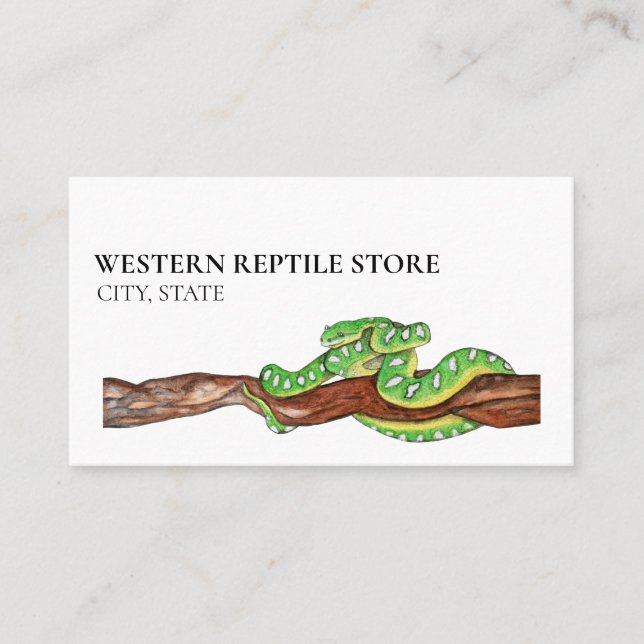 Reptile Snake Tortoise Python Boa Pet  Business Card (Front)