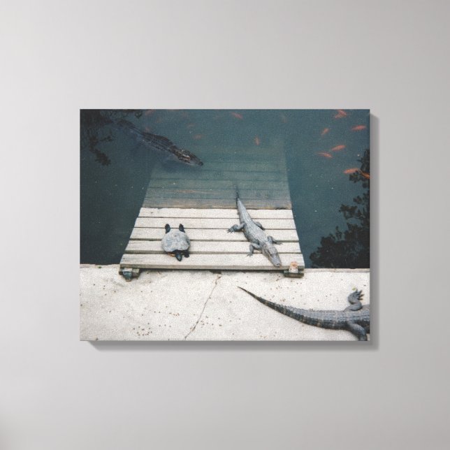 Reptiles Basking Canvas Print (Front)