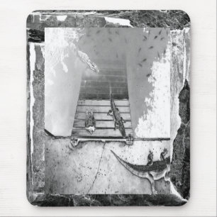 Reptiles Basking Mouse Pad