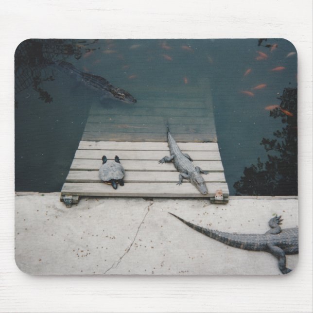 Reptiles Basking Mouse Pad (Front)