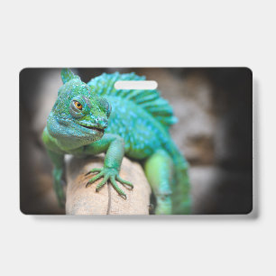 reptiles, nature, lizards ID badge