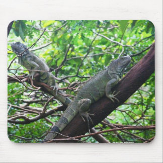 Reptilian Repose Mouse Pad