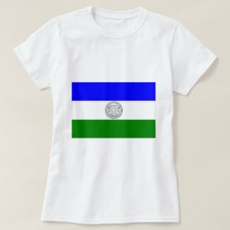 Republic of Jämtland flag (unofficial) T-Shirt