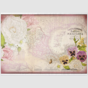 Republica Mexicana Map Decoupage Tissue Paper