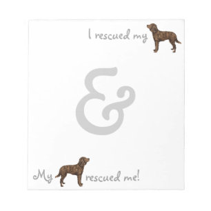 Rescue American Water Spaniel Notepad
