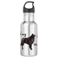 Rescue Belgian Sheepdog
