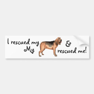 Rescue Bloodhound Bumper Sticker