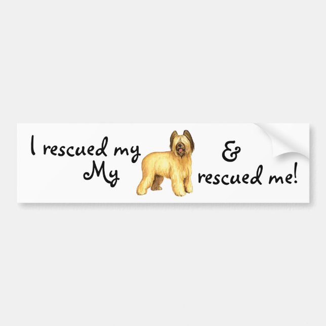 Rescue Briard Bumper Sticker (Front)